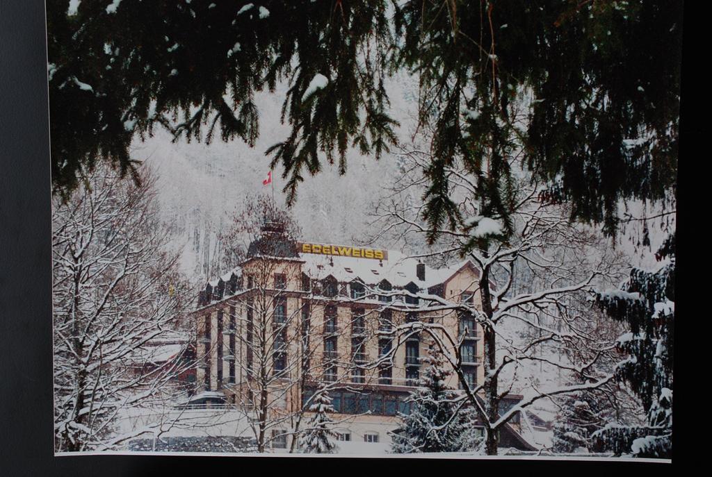 Hotel Edelweiss Engelberg Exterior photo